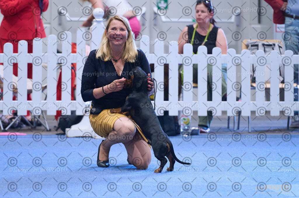 202406_ÖKV-IHA-Tulln24_DSC_3878 | proPHOTO - Realisiert mit Pictrs.com