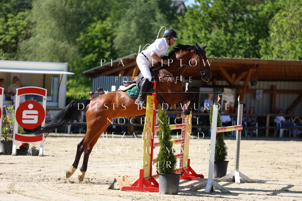 IMGS9917 | pl-fotografie