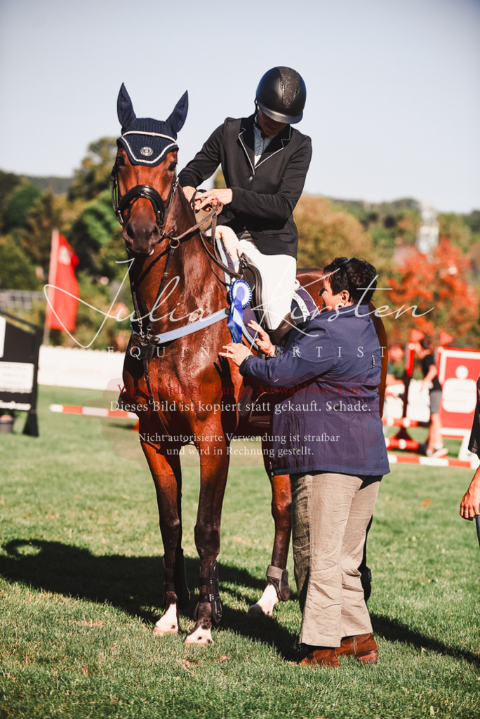 DSC_2307 | Pferde- und Turnierfotografie in Westsachsen. Pferdeportraits, Auftragszeichnungen und intuitive Kunst.