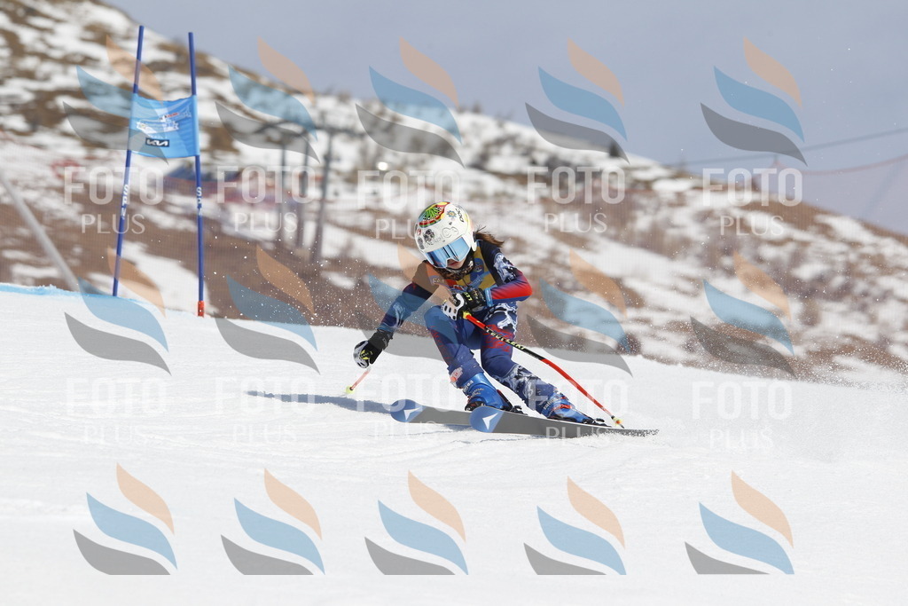 _U3G1416 | holidayphoto