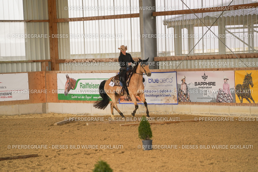 DSC01426 | Pferdegrafie