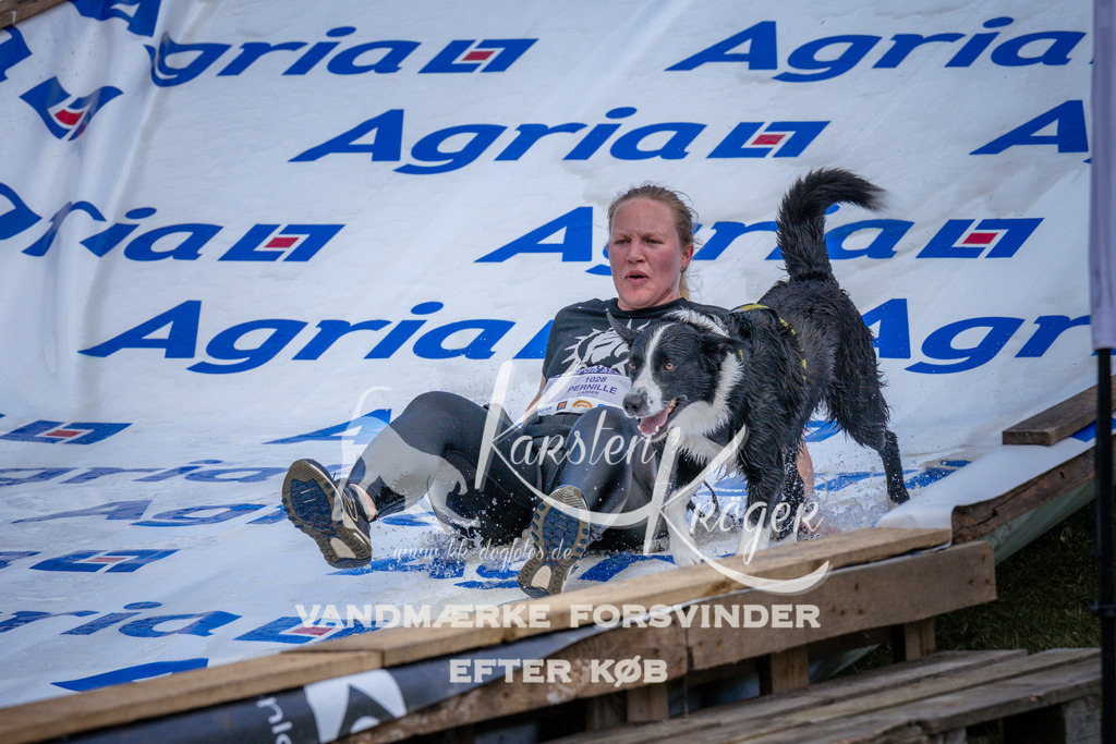 _ZZ943150956 | kk-dogfotos
