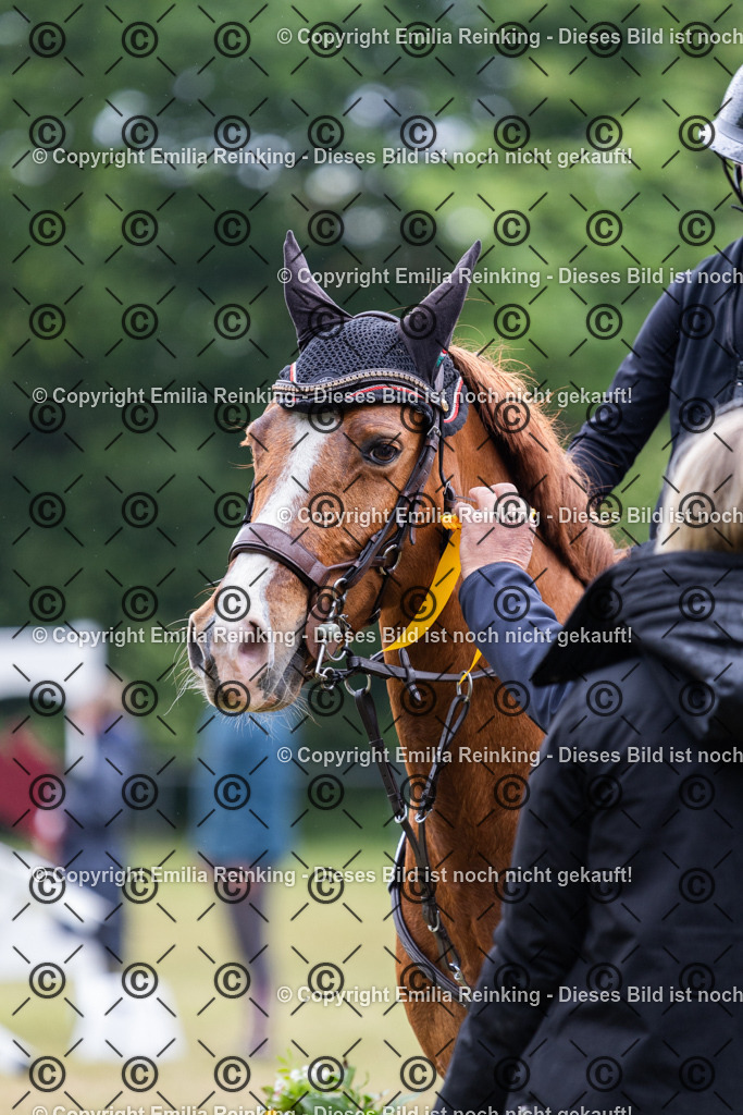 CL5A9116 | Emilia Reinking Fotografie - Realisiert mit Pictrs.com