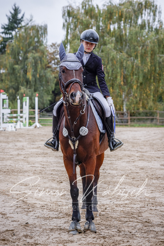 20251012-_3LI3530 | Tierfotografie Pferde, Hunde, Katzen, Haustiere.
Turnierfotografie Reitturniere, Reiten, Springreiten, Dressur in Hanau, dem Main-Kinzig-Kreis und dem Rhein-Main- Gebiet um Frankfurt