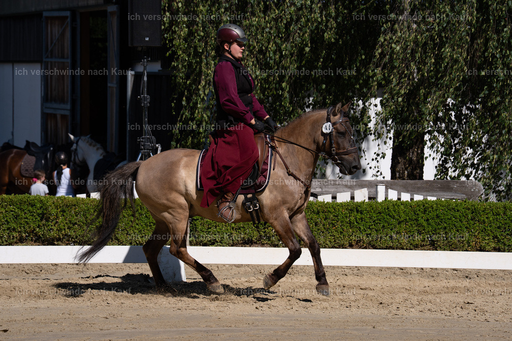 WA_DR_45_SinaFilmArt_IN01399 | working equitationturnier fotograf videograf stoibphotography marixx film working equitation deutschland reitsport turnierfotografie eventfotografie equestrian events