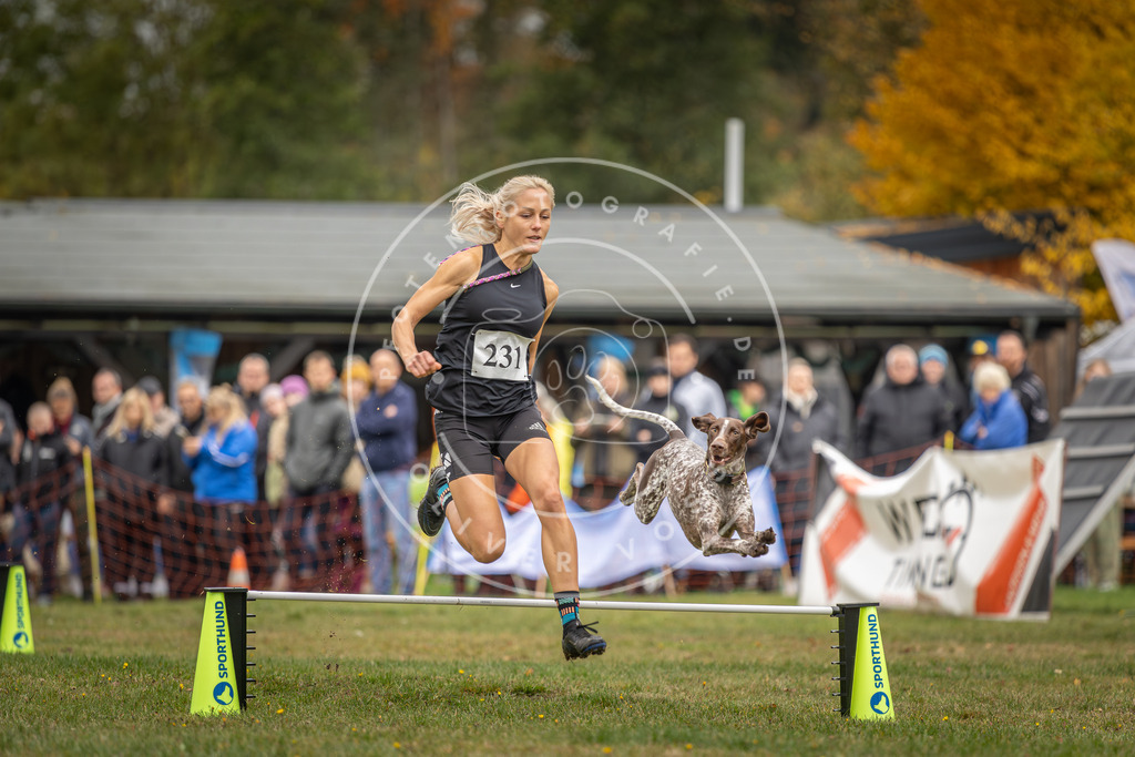 Pfotenfotografie_DV3A3327 | Hundefotografie, Tierfotograf, Pfotenfotografie, Fotoshooting Hund, Hunde Portrait, Hundesport, Hundeportraits, Heideshooting, Hunde, Sportfotograf, Hundefotograf, Turnierhundsport, THS,  - Realisiert mit Pictrs.com
