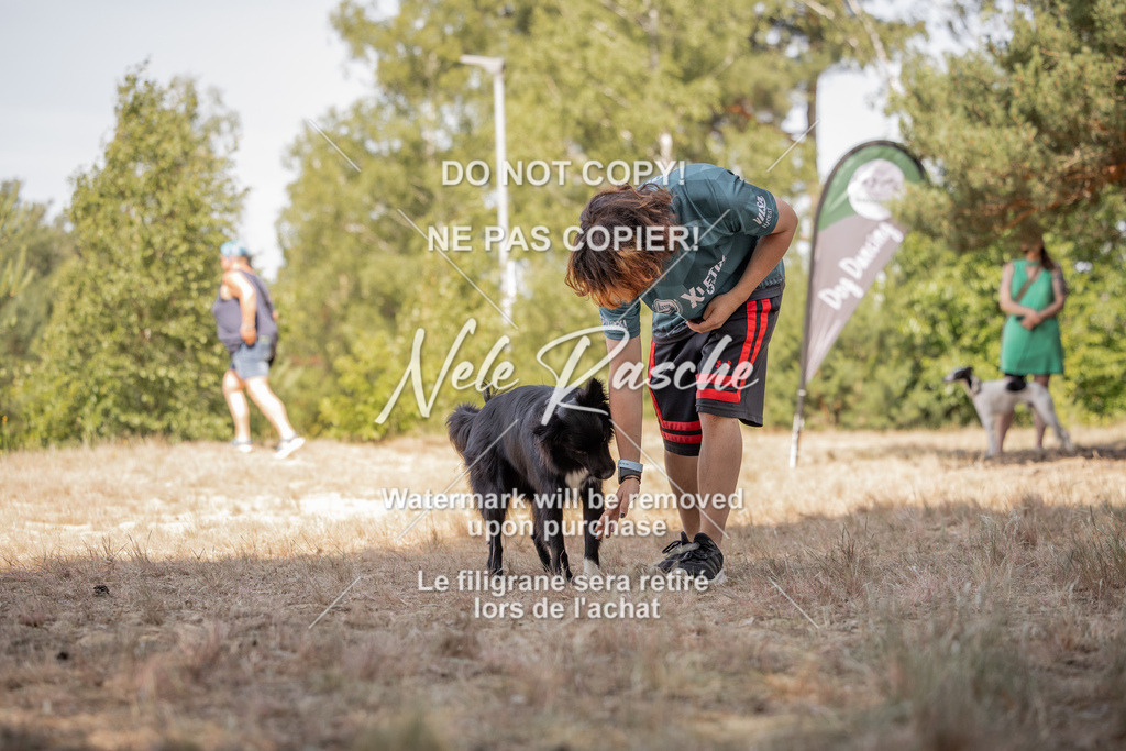 nelerasche_soDD2_333 | nelerasche