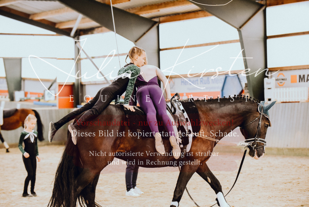 DSC_6875 | Pferde- und Turnierfotografie in Westsachsen. Pferdeportraits, Auftragszeichnungen und intuitive Kunst.