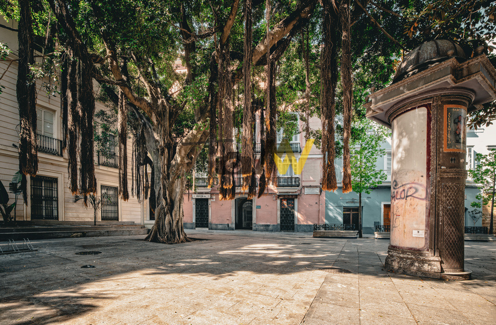Leben und Einblick in die Altstadt von Cadiz-Schöne Stadt Szene | Hochauflösende und hochwertige Bilder und Fotos.Kommerzielle oder private Nutzung ✔ Bilder downloaden✔ Acryl ✔ Leinwand ✔ Poster ✔
 - Realisiert mit Pictrs.com