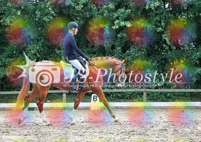 20250727_Dressurpferdeprfg_Kl.A-151 | JS-Photostyle - Sport-/Portrait- & Eventfotografie