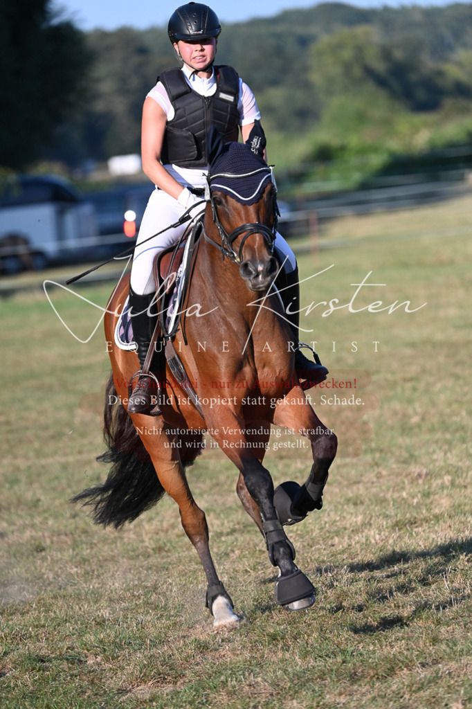 DSC_9165 | Pferde- und Turnierfotografie in Westsachsen. Pferdeportraits, Auftragszeichnungen und intuitive Kunst.