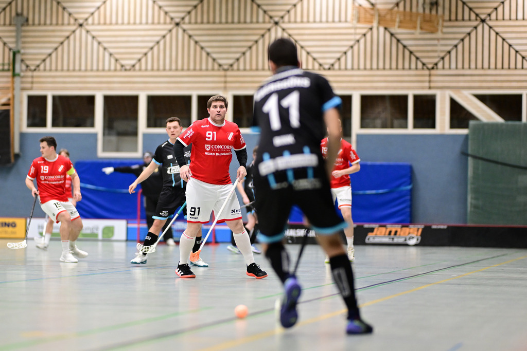 Floorball I Herren I Saison 2024-2025 I 2. FBL Herren Nord-West I 9. Spieltag I MTV Mittelnkirchen - TSV Tollwut Ebersgöns | Der Sportfotograf. - Realisiert mit Pictrs.com