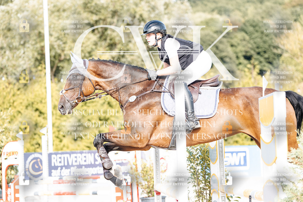 CK909422 | Turnierfotografie Pferdefotografie Trier Rheinland-Pfalz Pferdesport Reitsport Tierfotografie Sportfotografie Pferdevideo Pferdevideografie Equestrianvideography equestrianphotography  - Realisiert mit Pictrs.com