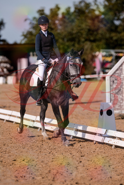 2026_10_03_Siefer-Hof_120028_Z81_02182359 | Professionelle Reitsport-, Turnier- und Eventfotografie von Robert Broda. Galerien mit ausgewählten und bearbeiteten Bildern direkt online ansehen und bestellen.