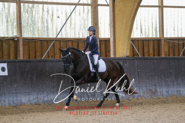 IMG_0449 | Turniersportfotografie; Pferdefotografie; Dressurfotografie