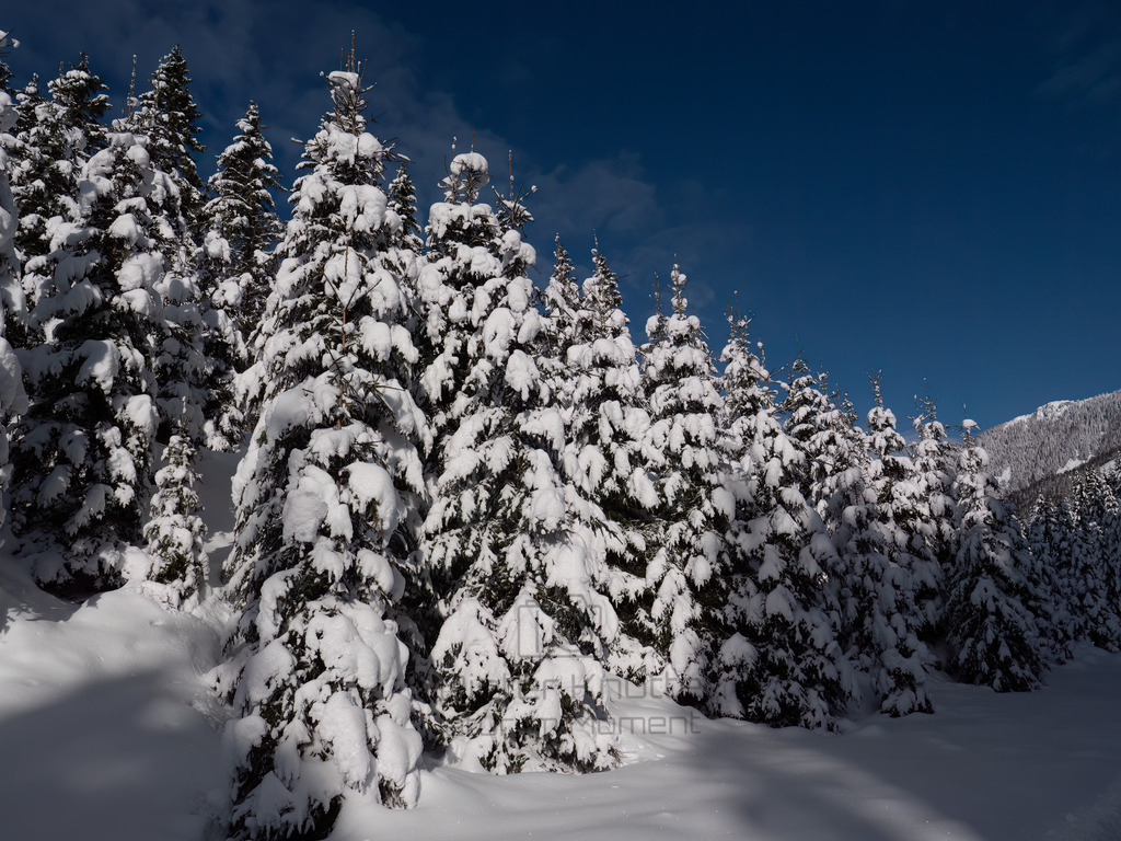 P1433374-Bearbeitet-2019-LR | Natur im Moment - Realisiert mit Pictrs.com