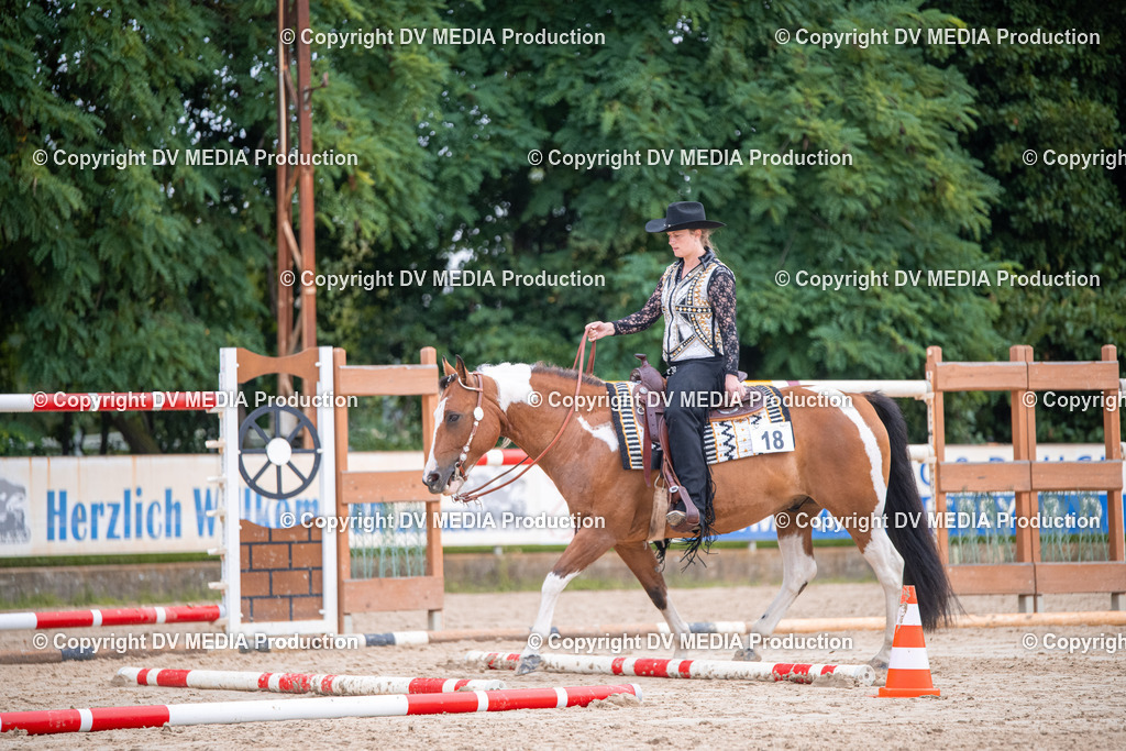 ZS3_4733 | dv-media-shop - Realisiert mit Pictrs.com