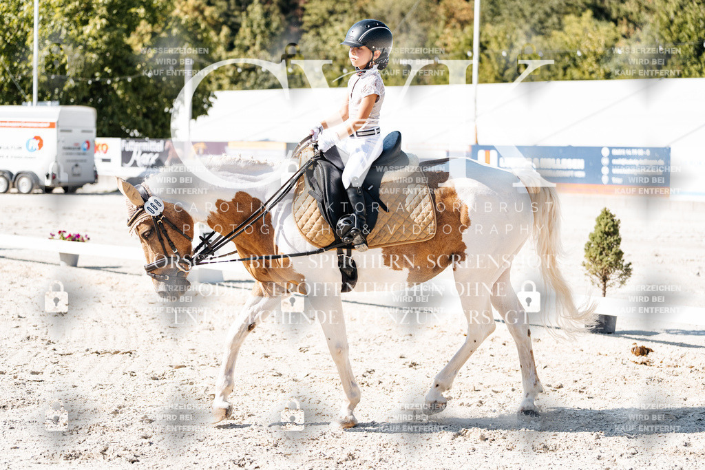 CK903319 | Turnierfotografie Pferdefotografie Trier Rheinland-Pfalz Pferdesport Reitsport Tierfotografie Sportfotografie Pferdevideo Pferdevideografie Equestrianvideography equestrianphotography  - Realisiert mit Pictrs.com