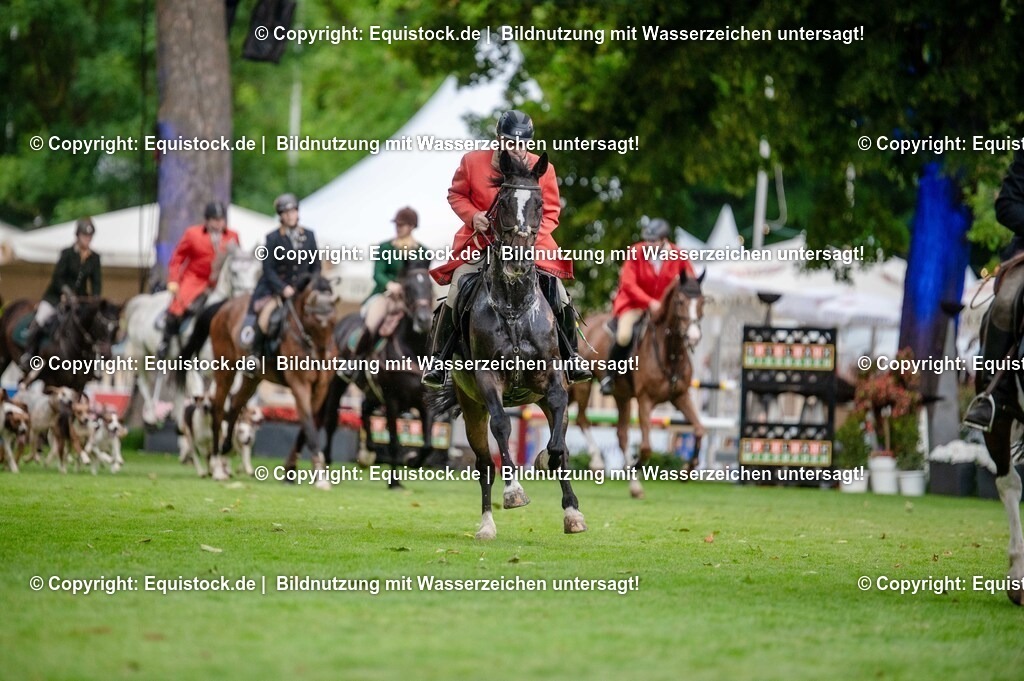 20250606_Lange-Pferdenacht_0488 | Foto: Thomas Hartig