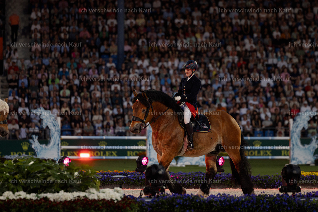 TSCHIO26_PferdundSinfonie_StoibphotographyTSCHIO26_Pferd-Sinfonie_Stoibphotography_AM11497.CR3.jpg | working equitationturnier fotograf videograf stoibphotography marixx film working equitation deutschland reitsport turnierfotografie eventfotografie equestrian events