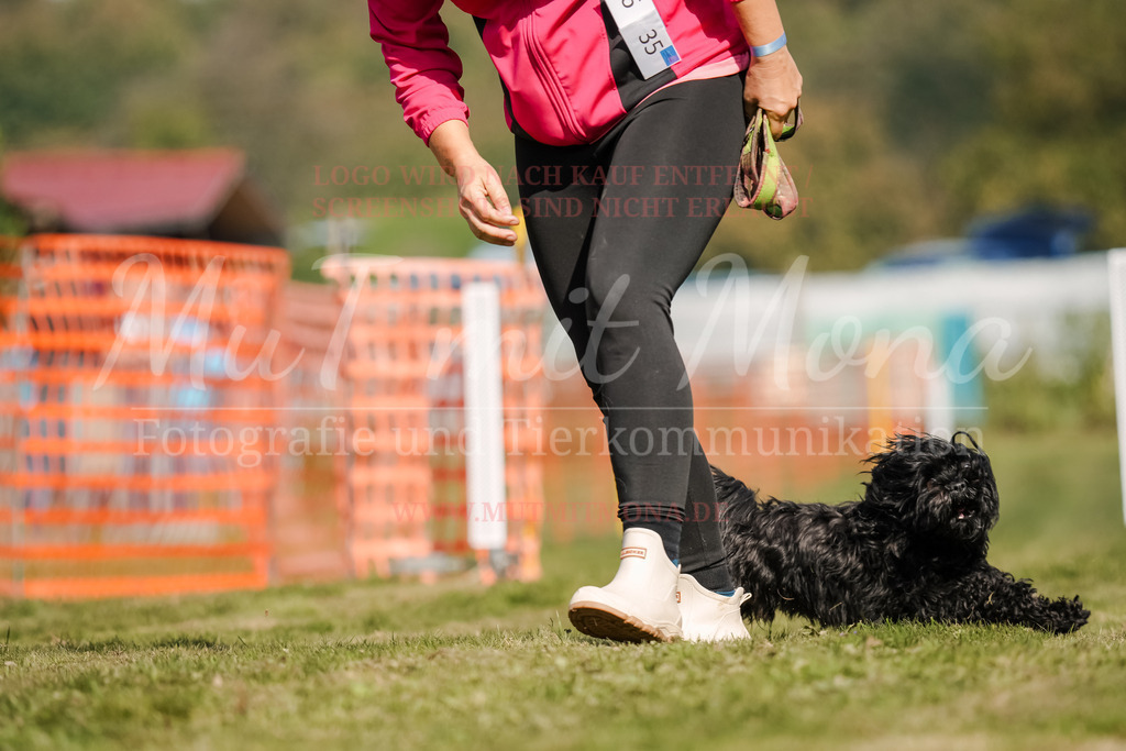 20250928_Hunderennen-584 | MuT (Mensch und Tier) mit Mona - Fotografie und Tierkommunikation - Realisiert mit Pictrs.com