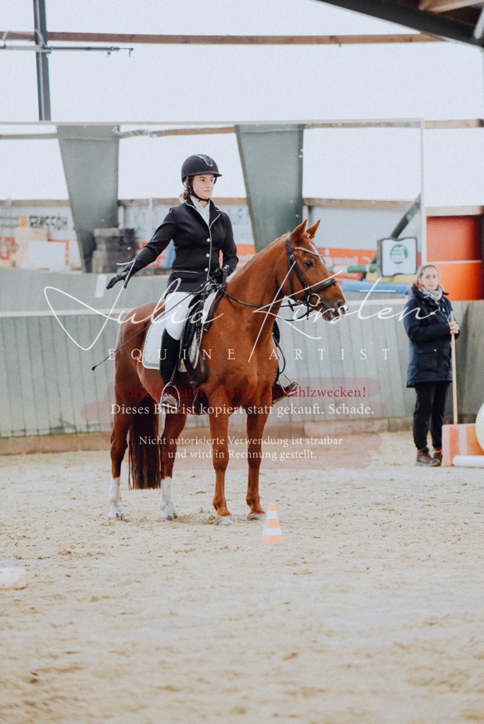 DSC_6769 | Pferde- und Turnierfotografie in Westsachsen. Pferdeportraits, Auftragszeichnungen und intuitive Kunst.