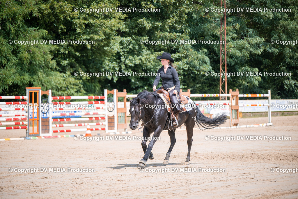 ZS3_5246 | dv-media-shop - Realisiert mit Pictrs.com