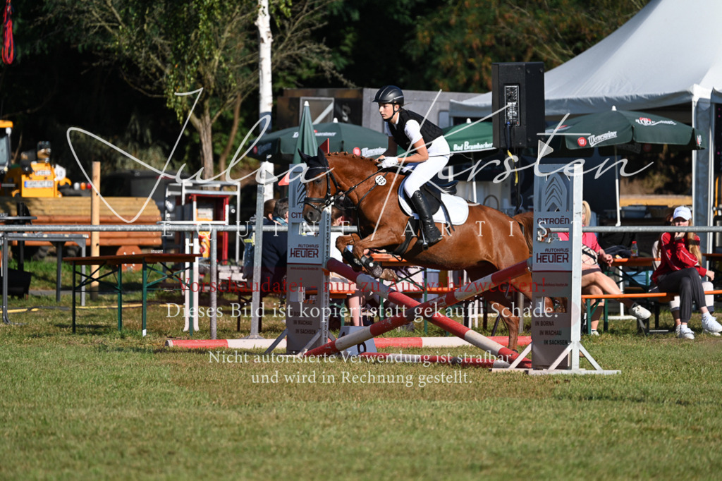 DSC_4809 | Pferde- und Turnierfotografie in Westsachsen. Pferdeportraits, Auftragszeichnungen und intuitive Kunst.