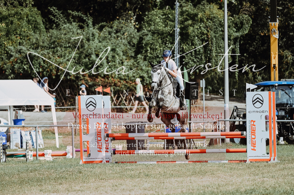 DSC_9325 | Pferde- und Turnierfotografie in Westsachsen. Pferdeportraits, Auftragszeichnungen und intuitive Kunst.
