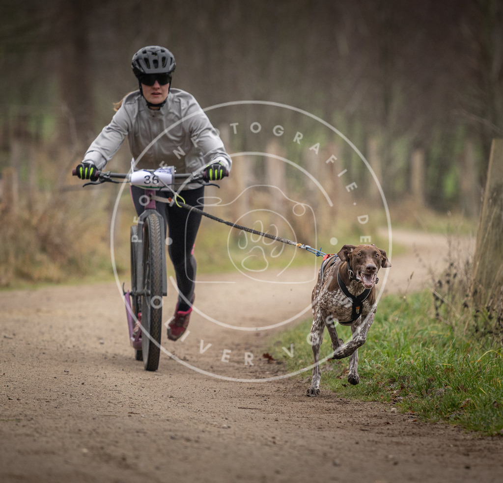 Pfotenfotografie_DV3A2410 | Hundefotografie, Tierfotograf, Pfotenfotografie, Fotoshooting Hund, Hunde Portrait, Hundesport, Hundeportraits, Heideshooting, Hunde, Sportfotograf, Hundefotograf, Turnierhundsport, THS,  - Realisiert mit Pictrs.com