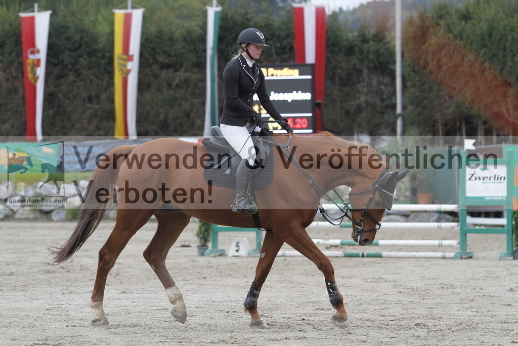 _MG_2981 | equestrian-live-com