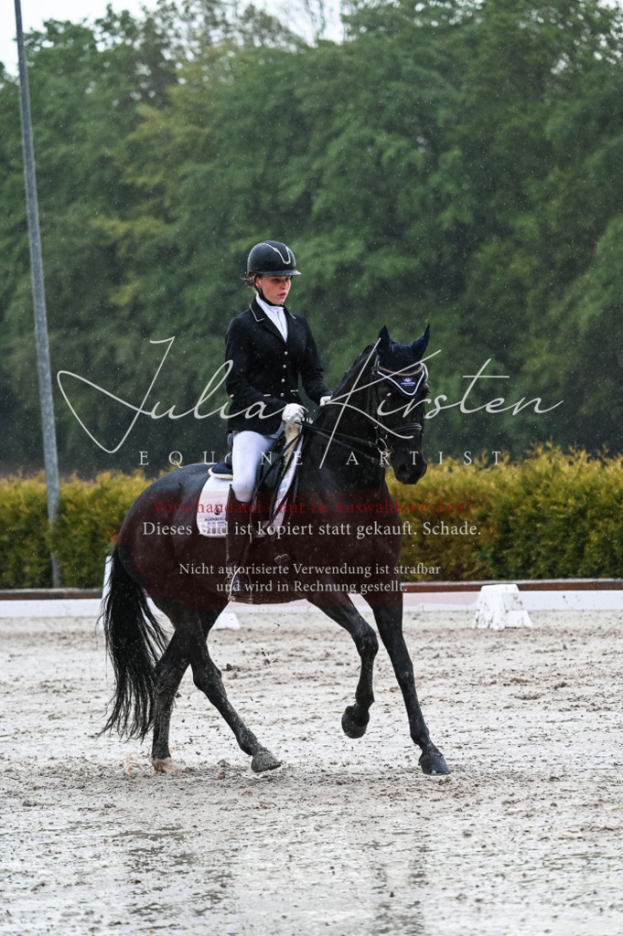 DSC_4748 | Pferde- und Turnierfotografie in Westsachsen. Pferdeportraits, Auftragszeichnungen und intuitive Kunst.