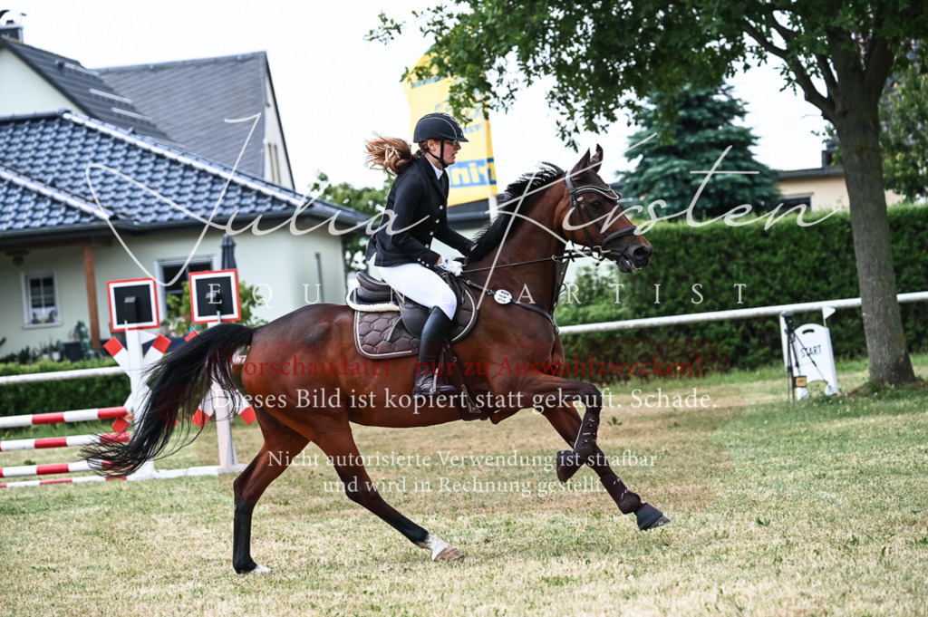 DSC_9050 | Pferde- und Turnierfotografie in Westsachsen. Pferdeportraits, Auftragszeichnungen und intuitive Kunst.