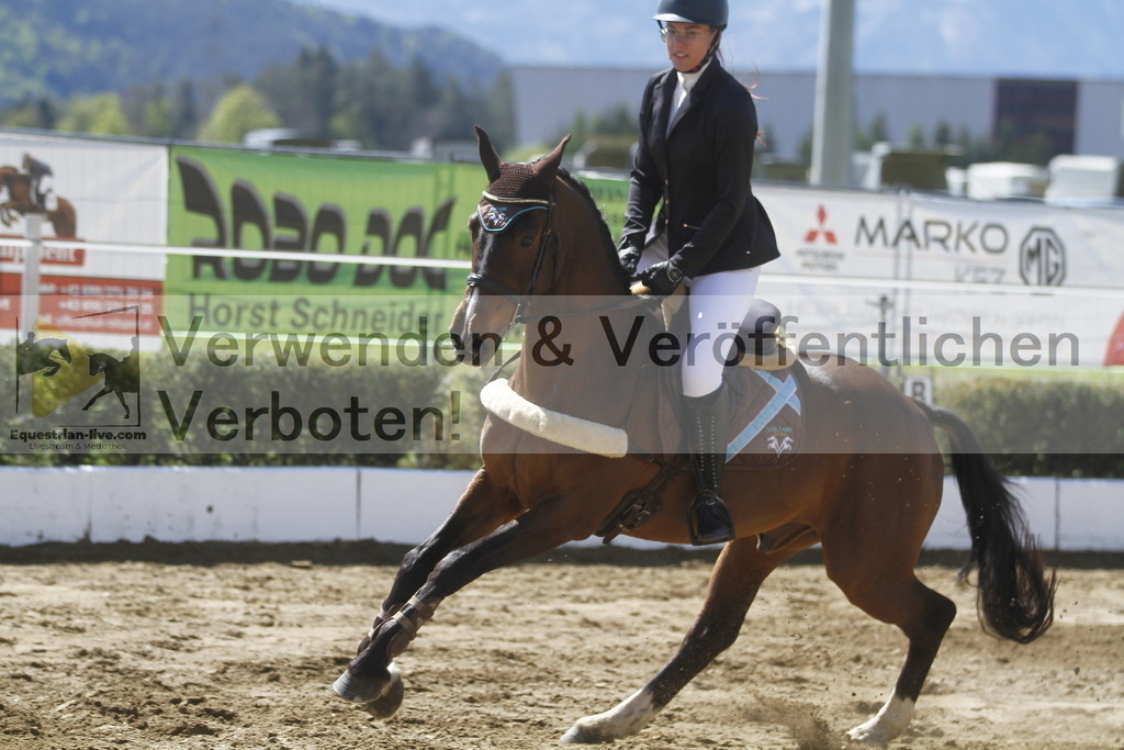 _MG_5866 | equestrian-live-com