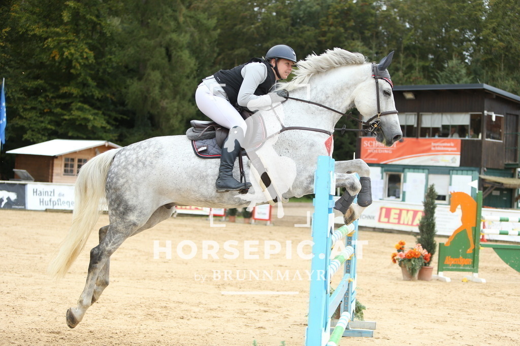 DL2Q5169 | Willkommen bei Brunnmayr - Design & Fotografie – Ihrem Spezialisten für Reitturniere und Pferdeveranstaltungen in Oberösterreich, Salzburg und Bayern! Seit über 17 Jahren sind wir leidenschaftlich dabei.