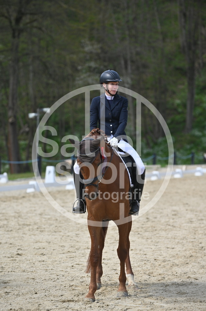 DSC_3647 | sattelsport - Realisiert mit Pictrs.com