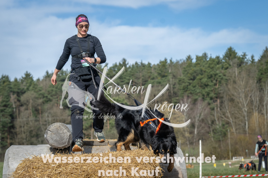 0951_ZZ96780 | kk-dogfotos