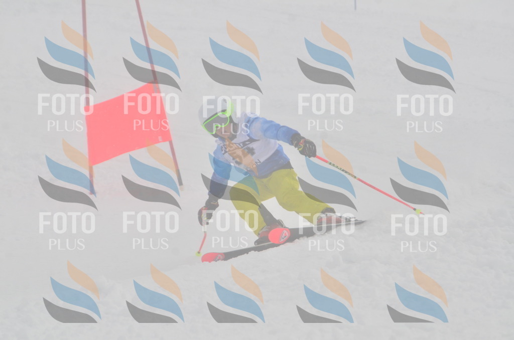 A5421 | holidayphoto