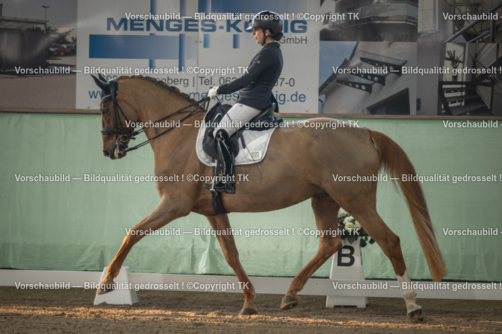 _D5A3961 | Emotionale Pferde- & People-Fotografie rund um Heidelberg, Leimen & Umgebung. Natürliche Fotos von Pferd, Mensch & Familie. Jetzt Termin sichern!