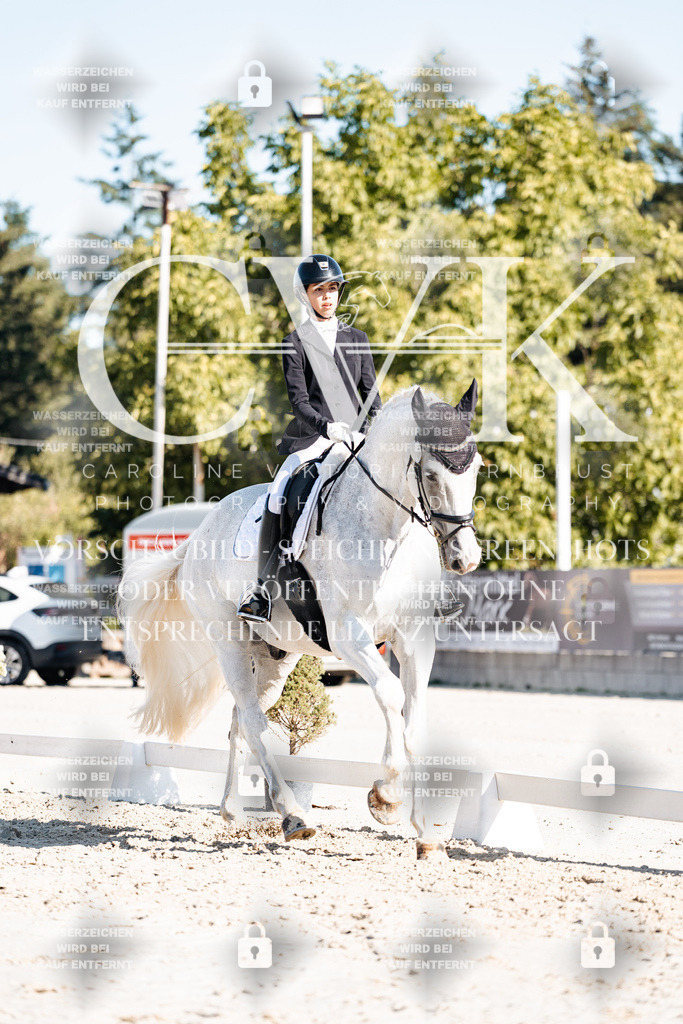 CK907598 | Turnierfotografie Pferdefotografie Trier Rheinland-Pfalz Pferdesport Reitsport Tierfotografie Sportfotografie Pferdevideo Pferdevideografie Equestrianvideography equestrianphotography  - Realisiert mit Pictrs.com