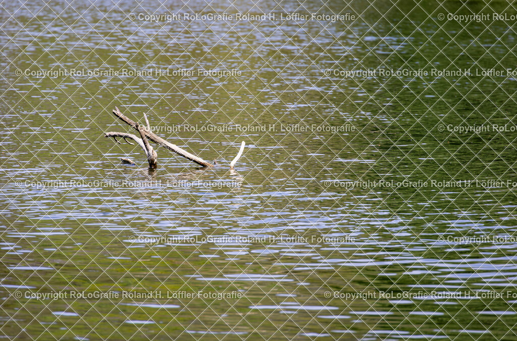 Donau-Donautal-21 | IPTC Infos - Realisiert mit Pictrs.com