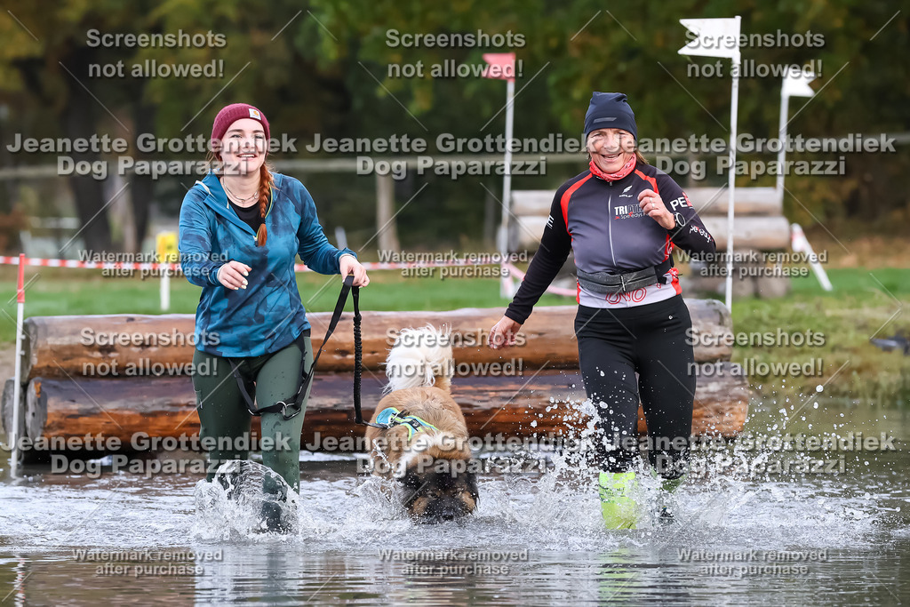 Dog Paparazzi - Strongdog 10-25-6507 | Dog Paparazzi Jeanette Grottendiek Fotografie & Videografie - Realisiert mit Pictrs.com