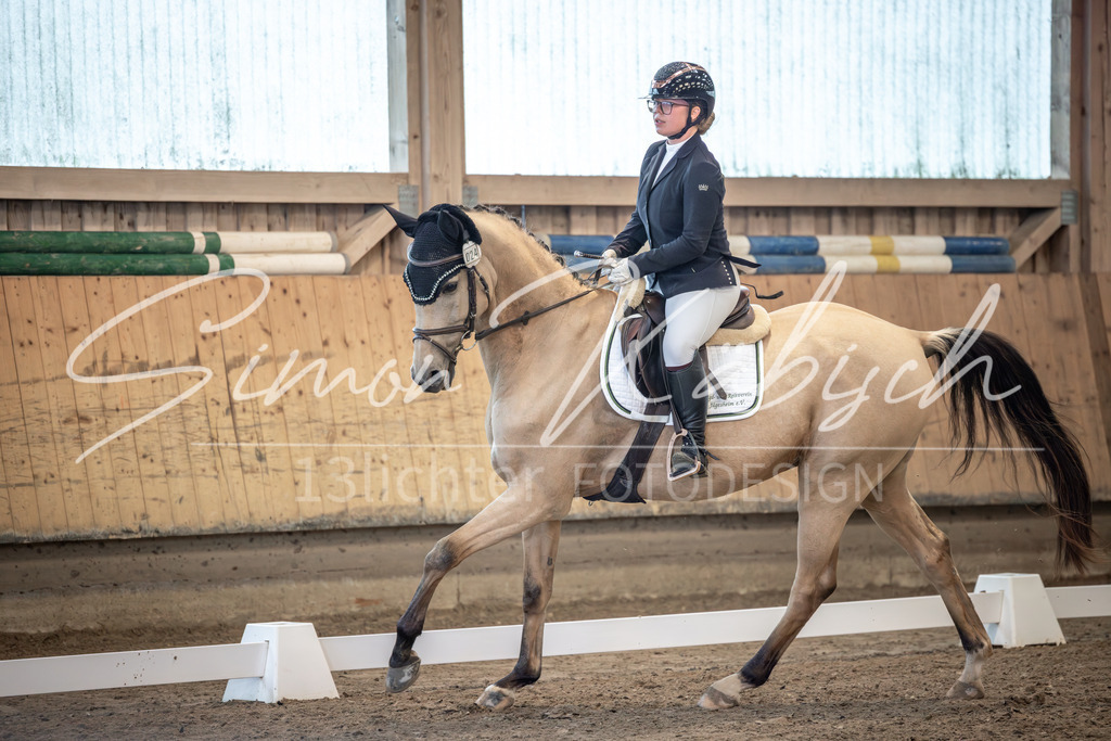 20251011-_3LI5992 | Tierfotografie Pferde, Hunde, Katzen, Haustiere.
Turnierfotografie Reitturniere, Reiten, Springreiten, Dressur in Hanau, dem Main-Kinzig-Kreis und dem Rhein-Main- Gebiet um Frankfurt