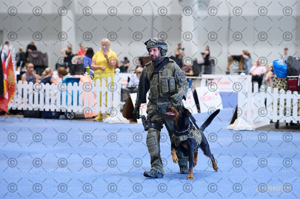 202406_ÖKV-IHA-Tulln24_DSC_2738 | proPHOTO - Realisiert mit Pictrs.com