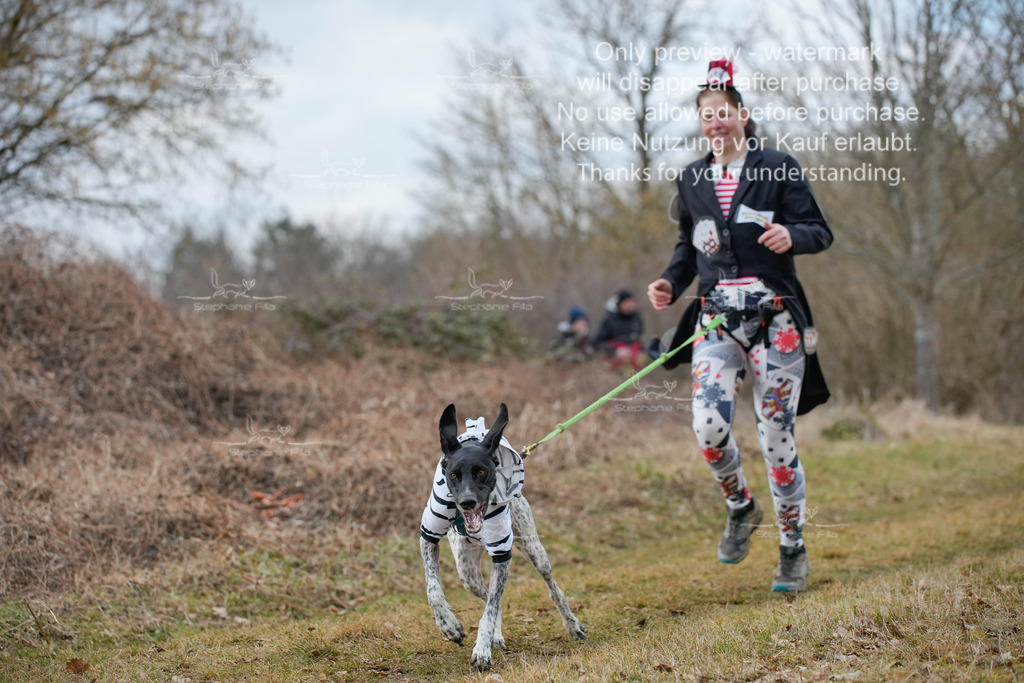 Fasching-16 | stephaniefillaphotographie - Realisiert mit Pictrs.com