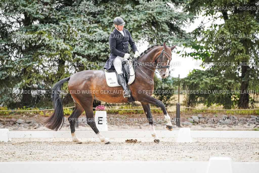 DSC06934 | Pferdegrafie