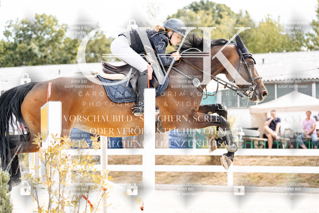 CK901922 | Turnierfotografie Pferdefotografie Trier Rheinland-Pfalz Pferdesport Reitsport Tierfotografie Sportfotografie Pferdevideo Pferdevideografie Equestrianvideography equestrianphotography  - Realisiert mit Pictrs.com