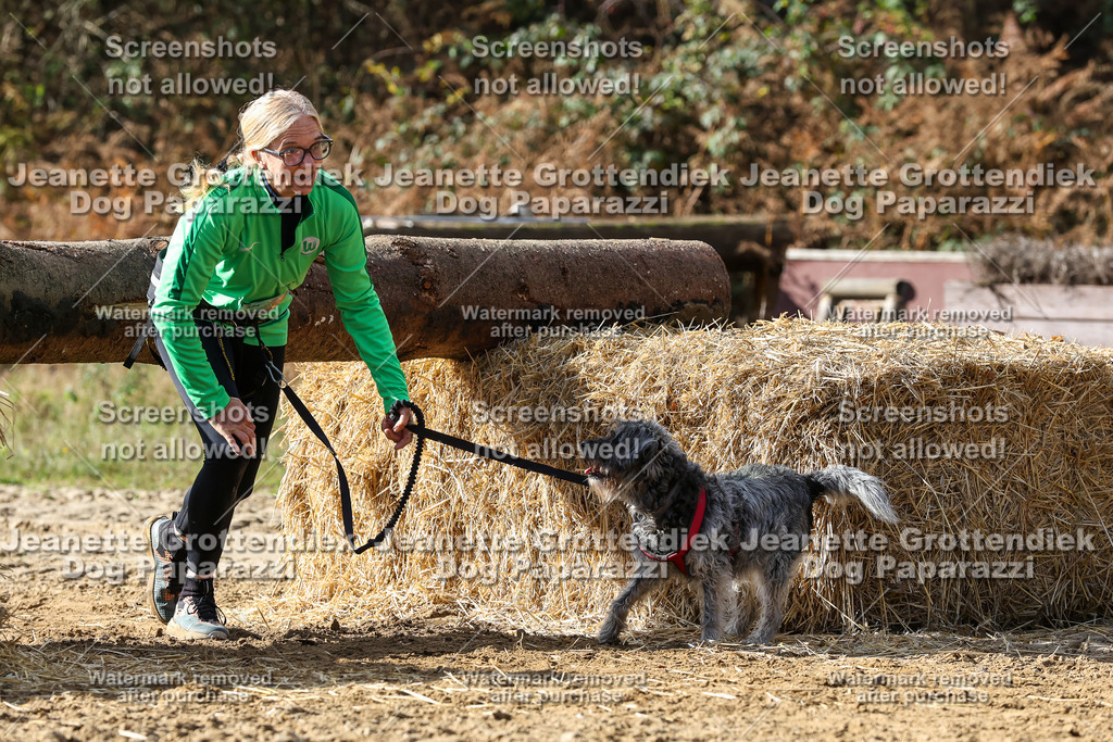 Dog Paparazzi - Strongdog 10-25-5258 | Dog Paparazzi Jeanette Grottendiek Fotografie & Videografie - Realisiert mit Pictrs.com