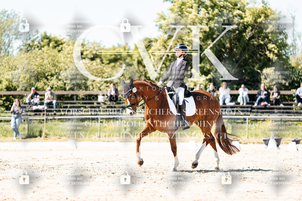 CK905275 | Turnierfotografie Pferdefotografie Trier Rheinland-Pfalz Pferdesport Reitsport Tierfotografie Sportfotografie Pferdevideo Pferdevideografie Equestrianvideography equestrianphotography  - Realisiert mit Pictrs.com