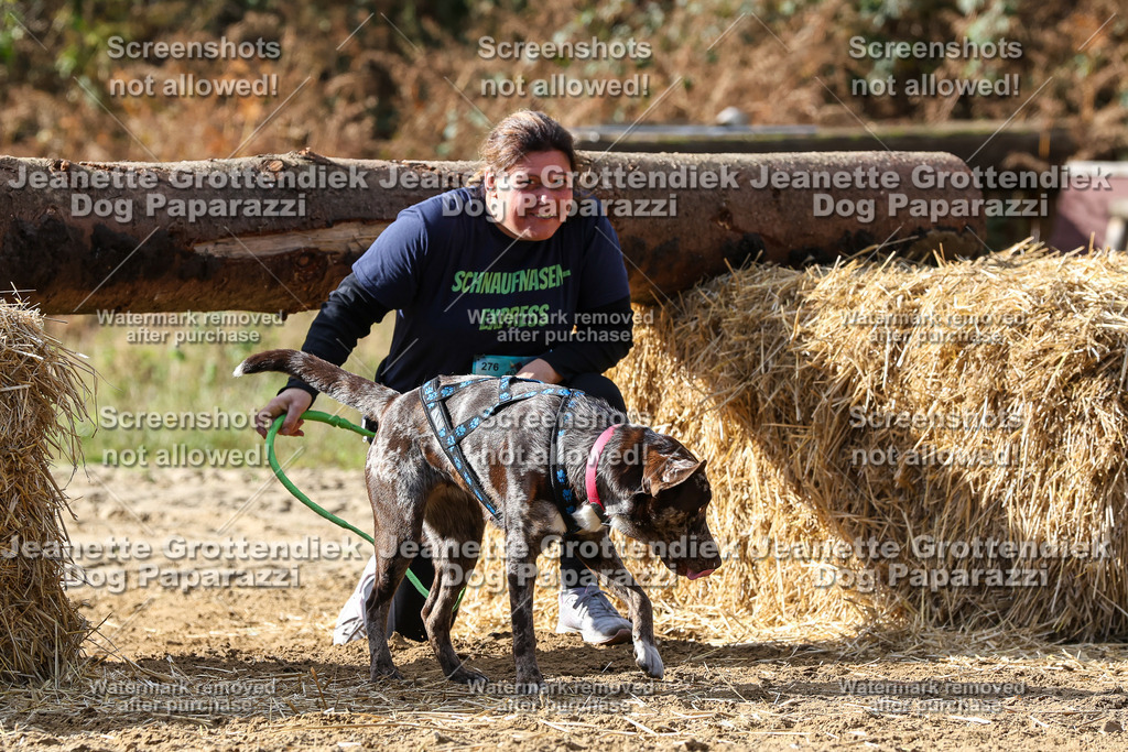 Dog Paparazzi - Strongdog 10-25-5310 | Dog Paparazzi Jeanette Grottendiek Fotografie & Videografie - Realisiert mit Pictrs.com